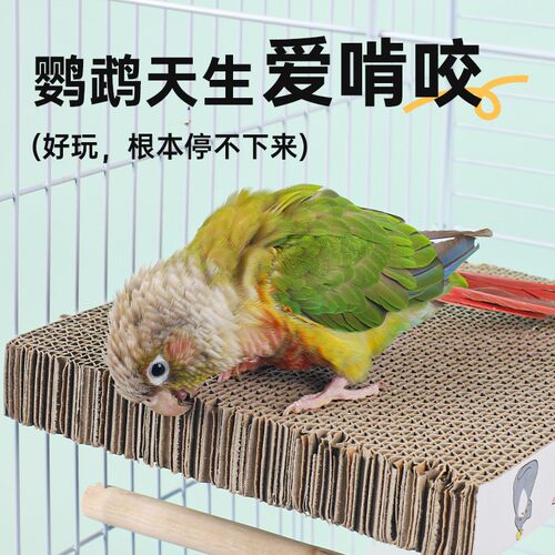鹦鹉啃咬玩具发泄纸板