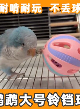 鹦鹉玩具铃铛球解闷自嗨啃咬陪伴训练互动益智解压玄风虎皮逗鸟用