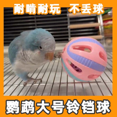 鹦鹉铃铛玩具球自嗨啃咬玩具