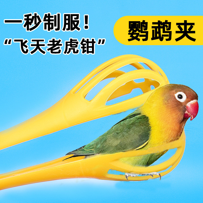 鹦鹉防咬夹防抓咬牡丹灵活喂食训鸟遛鸟防护用品大全养鸟撸鸟玩具,宠物/宠物食品及用品,鸟禽其他,淘宝优惠券,粉丝福利购,淘宝优惠卷