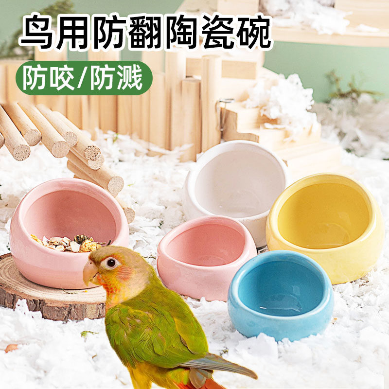 防溅防翻鹦鹉陶瓷食碗图片