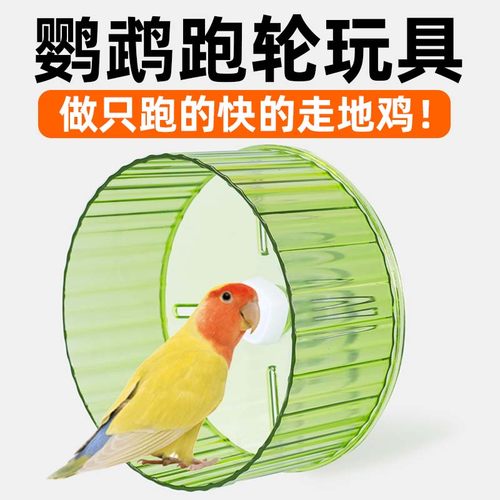 虎皮牡丹鹦鹉跑轮解闷玩具