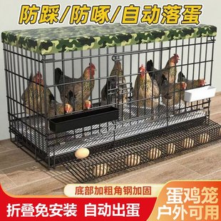 鸡笼子带蛋托产蛋笼家用大号鸡笼可折叠自动清粪养殖笼铁丝网鸡笼