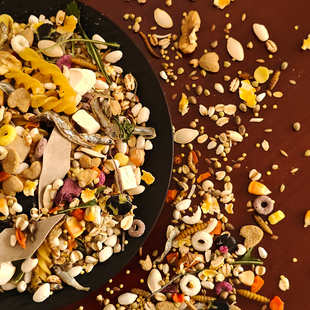 花枝鼠专用自配粮主食全阶段高蛋白幼崽幼鼠粮食饲料低蛋白老年鼠