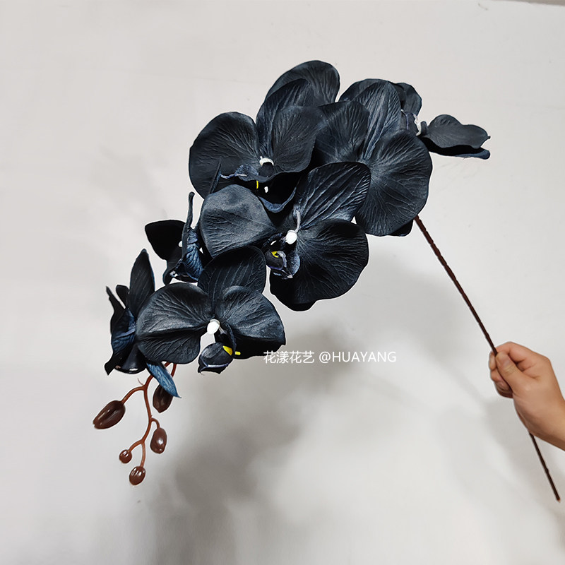 黑暗系列黑色蝴蝶兰仿真花拍照道具高端婚礼垂吊插花布景花艺假花