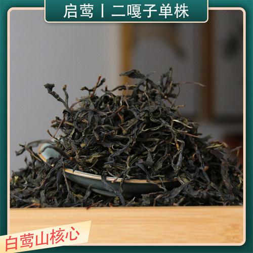 启莺普洱生云南二嘎子单株白莺山