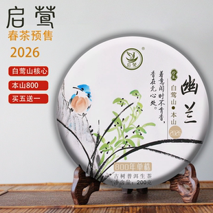 【启莺】2026春茶预售白莺山本山800单株【幽兰】普洱生茶古树明