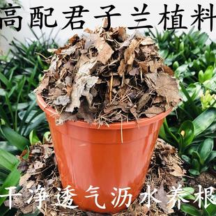 君子兰腐叶专用营养土 5.8斤透气沥水完全发酵腐熟像树叶落叶松针