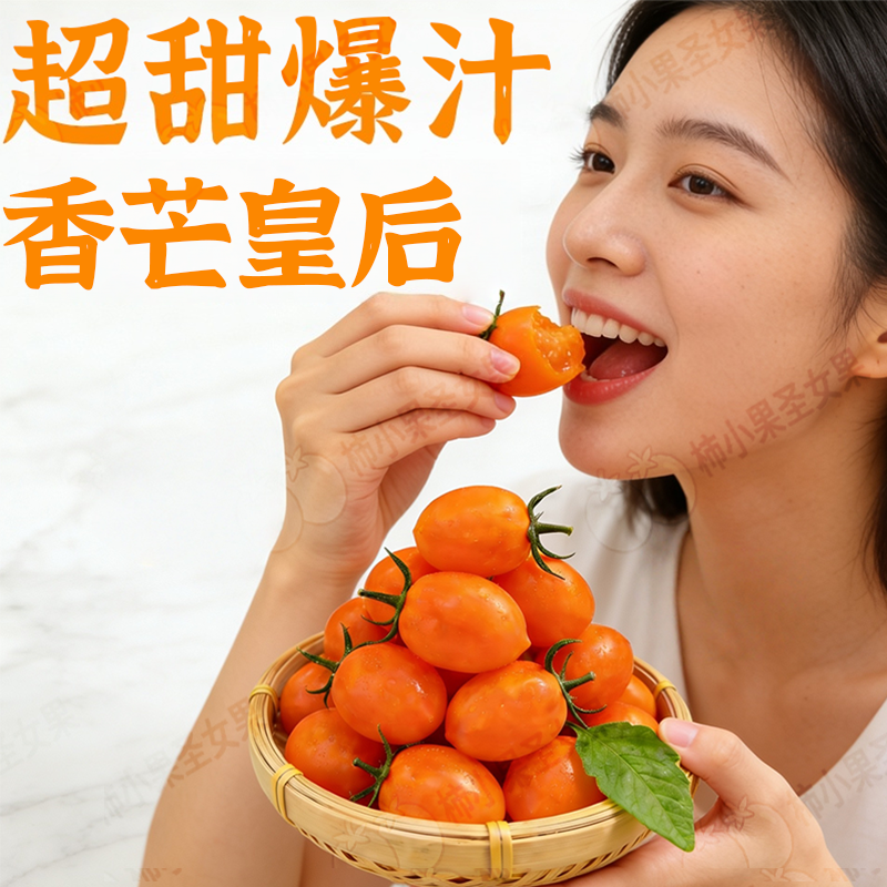 黄色圣女果正宗千禧小番茄超甜有机小番茄香芒皇后樱桃玲珑小柿子