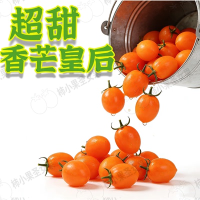 黄色千禧果超甜小番茄青口蜜小番茄小柿子圣女果金芒果皇后小番茄