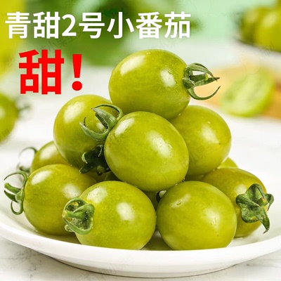绿色小番茄青口蜜小柿子清甜蜜正宗青甜二号新鲜樱桃千禧果青番茄