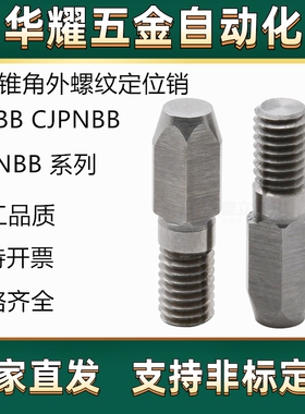 大头锥角外螺纹定位销JPNBB CJPNBB SJPNBB3 4 5 6 8 10-P-L-B
