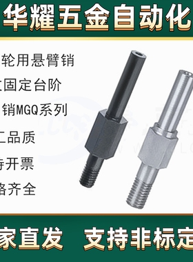悬臂销MGQ01/02/04/06/07/09/17MGQ21-Y-F-G-N张紧轮用悬臂销台阶