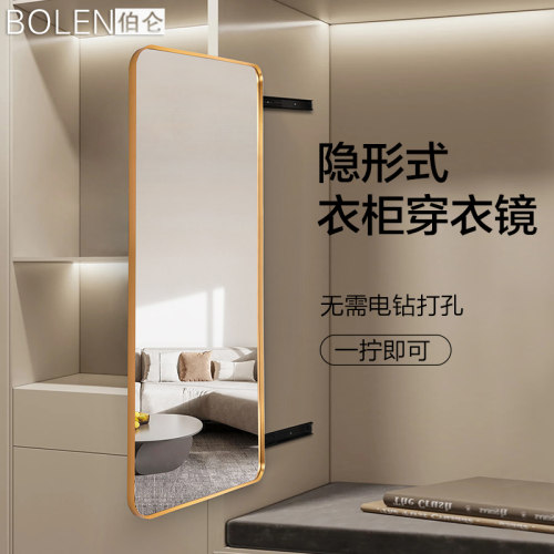 BOLEN内置滑轨推拉衣柜镜子