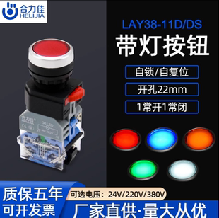 合力佳HLA38 LAY38-11D带灯复位 自锁启动停止按钮开关 开孔22