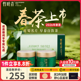 竹叶青茶叶礼盒特级绿茶峨眉高山茶双罐100g四川送礼 2026新茶