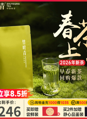 (2026新茶)竹叶青茶叶特级(品味)峨眉高山绿茶100g茶包茶叶自己喝