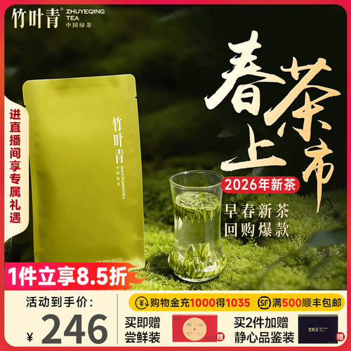 竹叶青绿茶特级(品味)100g茶叶