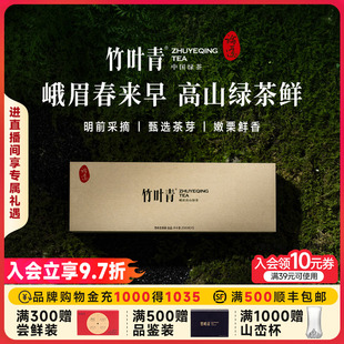 竹叶青茶叶春茶峨眉高山绿茶特级 伴手礼盒20g送礼高端商务 论道