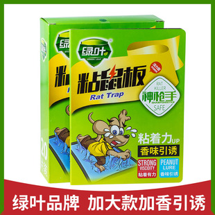 正品绿叶加大加厚强力粘鼠板捕鼠贴高效老鼠粘胶带花生香味引诱剂