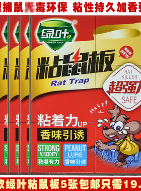 5张装绿叶可粘大老鼠强力粘鼠板