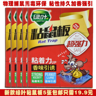 绿叶超强力粘鼠板物理环保捕鼠利器加厚引诱胶老鼠贴 正品 新款 包邮