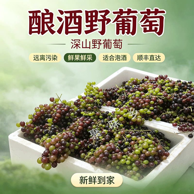 正宗山葡萄酿酒野葡萄顺丰包邮
