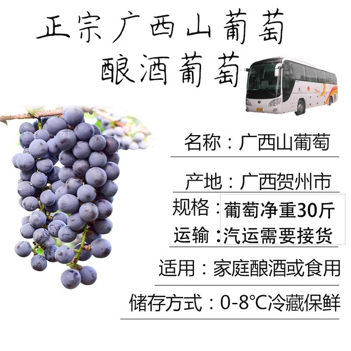 广西酿酒山葡萄汽运当天直达