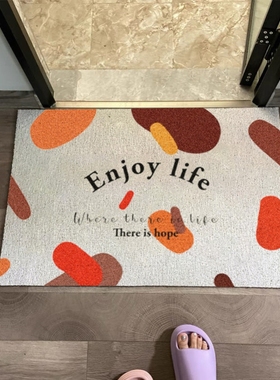 enjoylife地毯入户门防水丝圈门垫进门免洗门口地垫除尘脚垫可裁