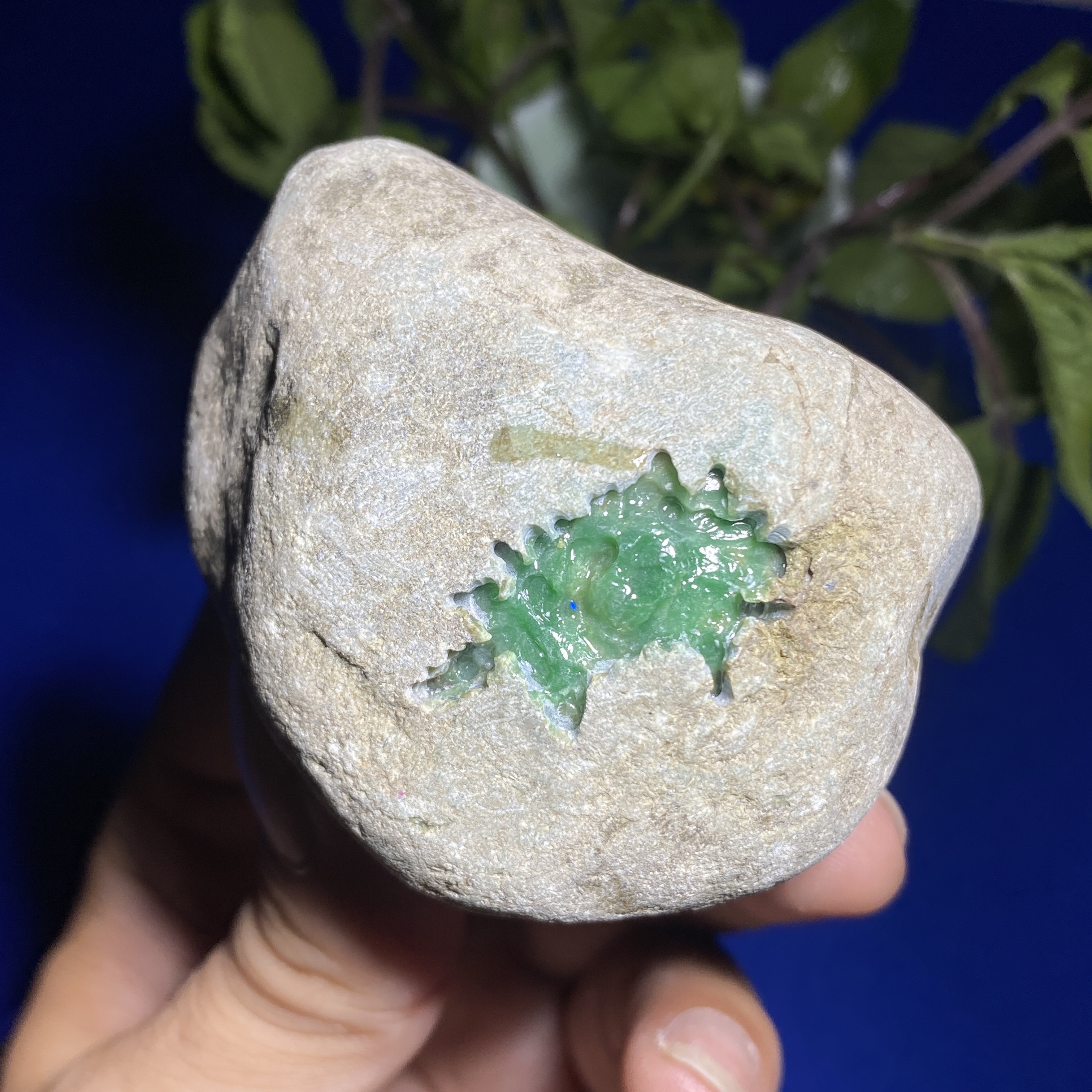 濮驿·天然A货缅甸翡翠原石玉石毛料后江色料色莽料戒面吊坠料