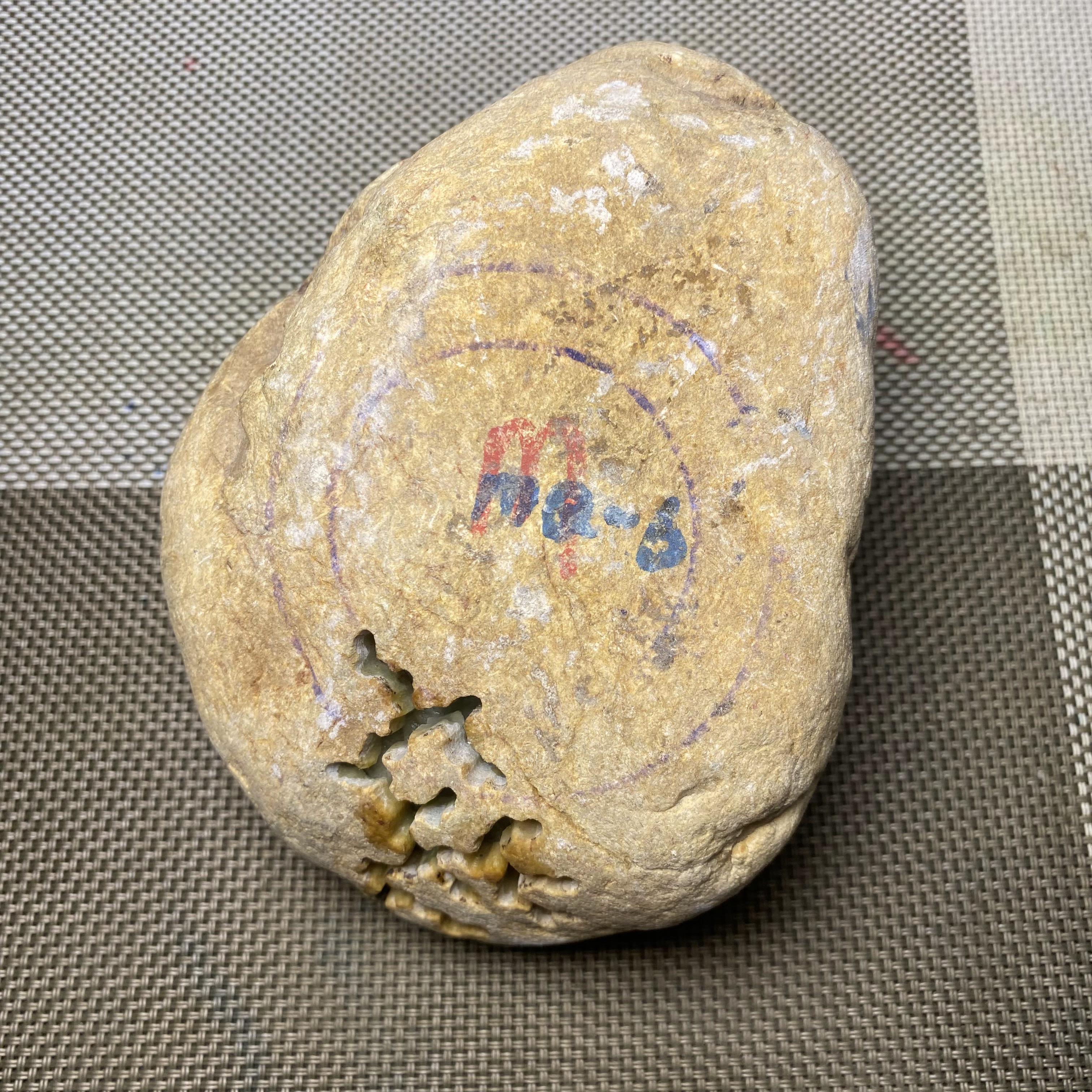 亏本处理·天然翡翠原石缅甸老坑玉石毛料开窗料木那黄岩沙手镯料