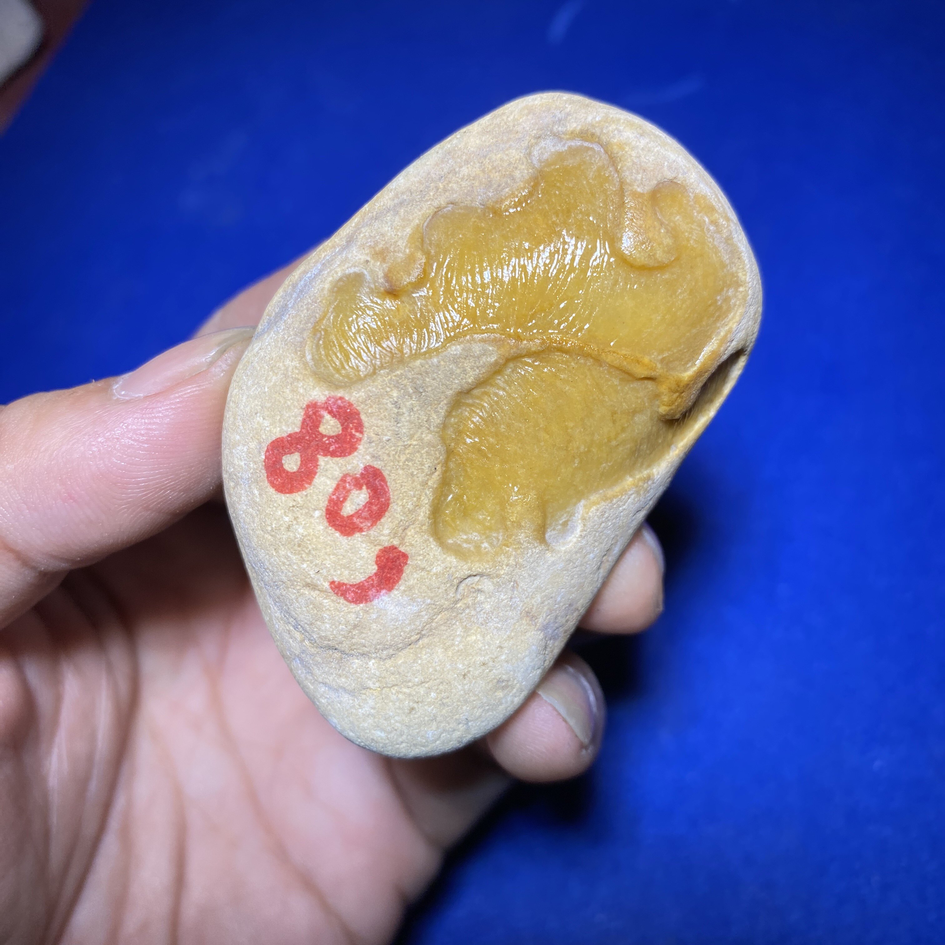 大马坎翡翠原石毛料 天然缅甸玉石吊坠 正黄 女士男士黄翡戒面料