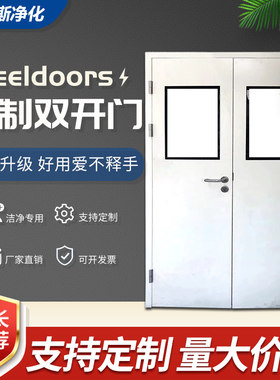 净化钢制门车间医院房门双开门