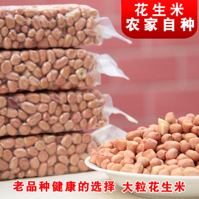 农家自产老品种花生米 五谷杂粮农村美食炖猪蹄八宝粥大粒花生仁