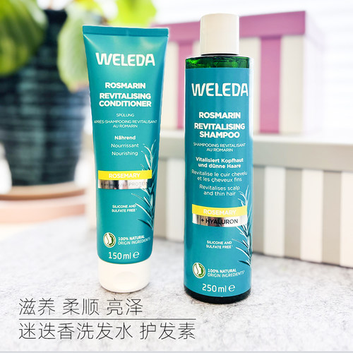 维蕾德迷迭香洗发水清洁稀疏头发