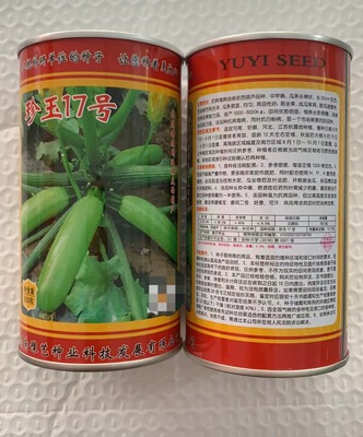 豫艺西葫芦耐热秋大棚露地高抗病