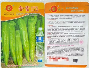 豫艺种业 金富175大果黄绿皮牛角椒种子 产量高商品果多1000粒/袋