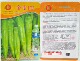 袋 产量高商品果多1000粒 豫艺种业 金富175大果黄绿皮牛角椒种子