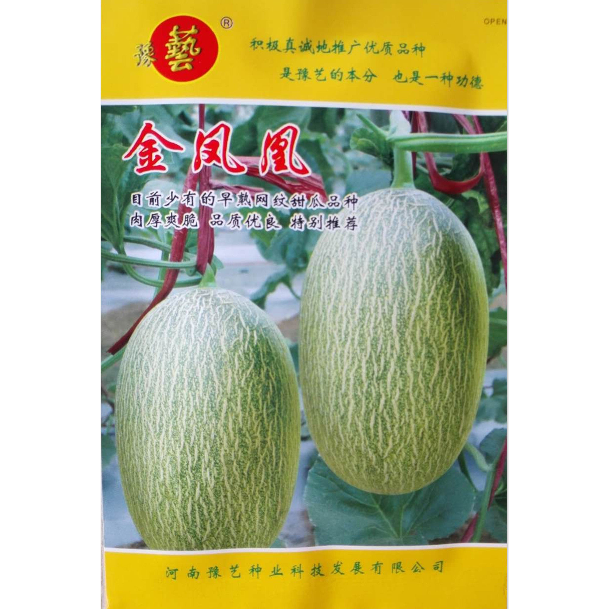 豫艺金凤凰网纹甜瓜种子 早熟 品质优良 100粒/袋