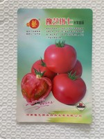 豫艺优七水果番茄种子 青果有绿肩 熟性较早，坐果性好  500粒/袋