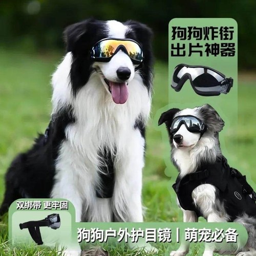 陨石边牧专用狗狗墨镜护目镜骑行防风紫外线滑雪太阳眼镜大型犬