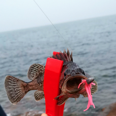 路亚黑坑根钓须须虾长软虫海水黑头溪流鳜鱼黑鲈Bass跳停缓落截口