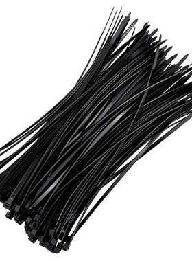 勒塔(LETA) 黑色尼龙扎带4*200mm(100根) 捆/绑/束线带LT-PPE558