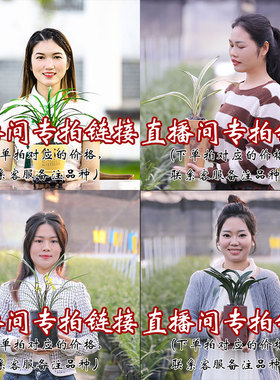 直播间兰花秒杀2