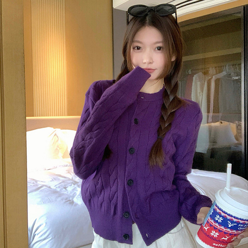 2026春秋别致紫色麻花毛衣外套开衫针织衫正肩高级感内搭叠穿外搭