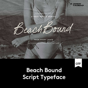 时尚优雅女性化手写铅笔签名包装品牌标题设计PSAI英文字体安装包