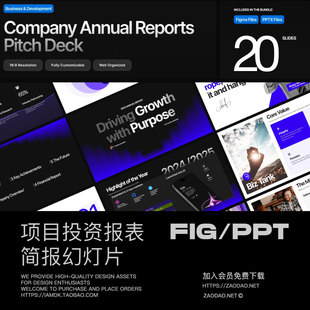 20页国外战略投资项目策划企业年度报表幻灯片设计ppt/figma模板