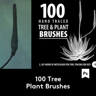 100 Tree Plant Brushes 100款植物树草PS笔刷素材包 B2020040401