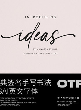 经典优雅流畅婚礼请柬标题设计书法签名手写PSAI英文字体安装包