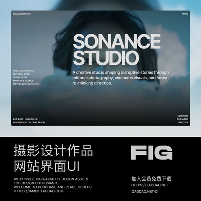 创意视觉冲击摄影设计作品集网站ui界面布局figma/framer模板素材